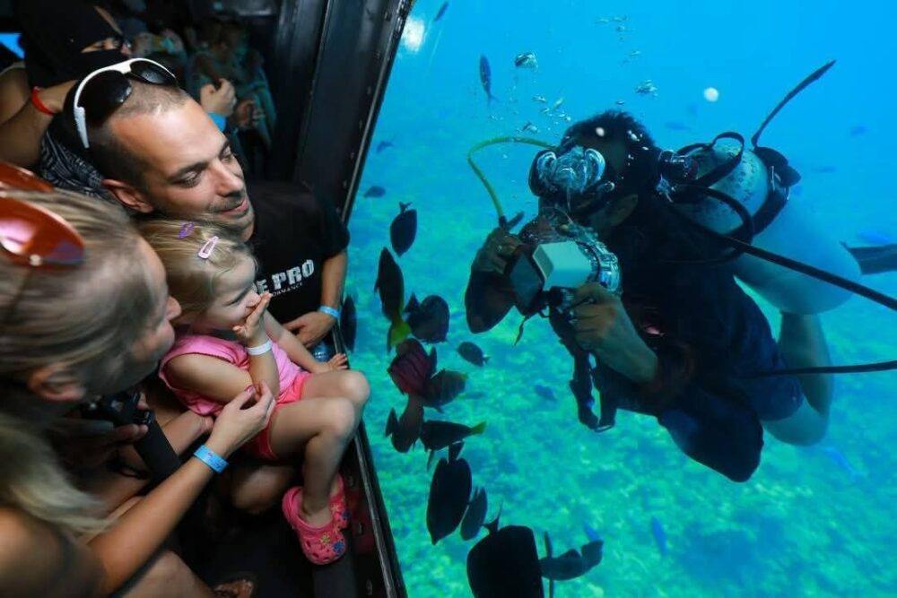 3 Hours Panorama Semi-Submarine Snorkeling Sea Trip With Transfer - Hurghada