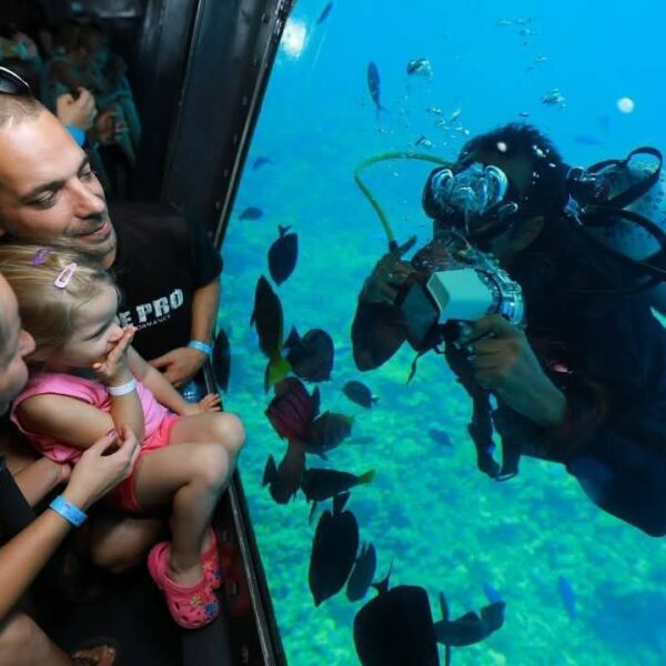 3 Hours Panorama Semi-Submarine Snorkeling Sea Trip With Transfer - Hurghada