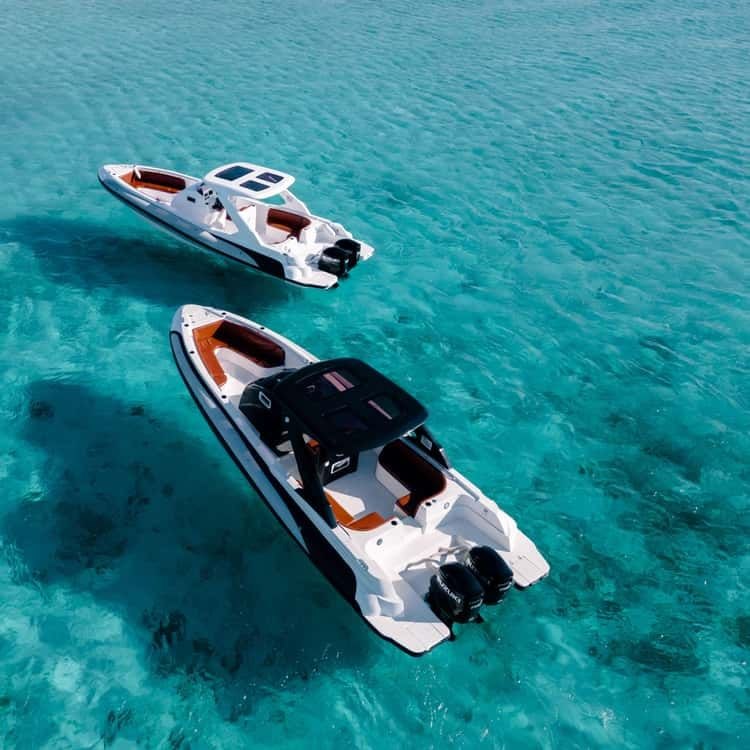 🚤 Private Speed Boat Adventure – Dolphins, Snorkeling & Island - Image 5