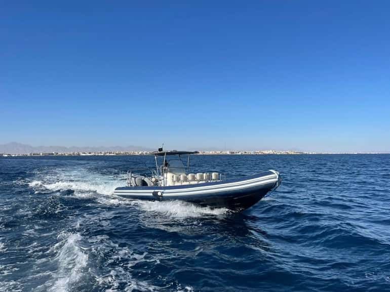 🚤 Private Speed Boat Adventure – Dolphins, Snorkeling & Island - Image 7