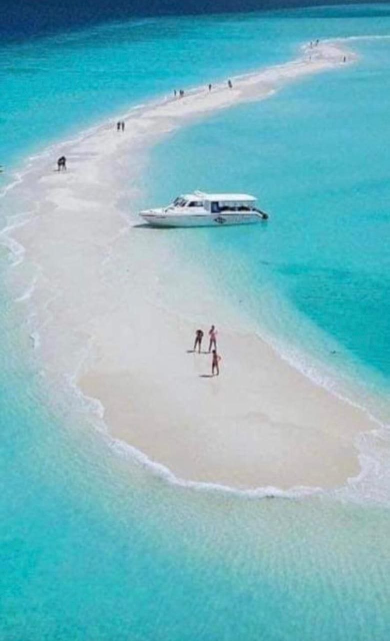🚤 Private Speed Boat Adventure – Dolphins, Snorkeling & Island - Image 2