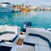 Private Speed Boat – Dolphin, Snorkeling & Island Escape - Image 3