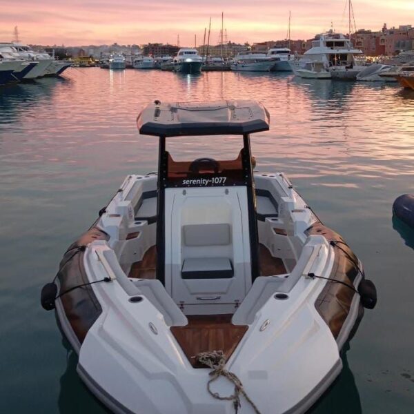 Private Speed Boat – Dolphin, Snorkeling & Island Escape