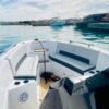 Private Speed Boat – Dolphin, Snorkeling & Island Escape - Image 6
