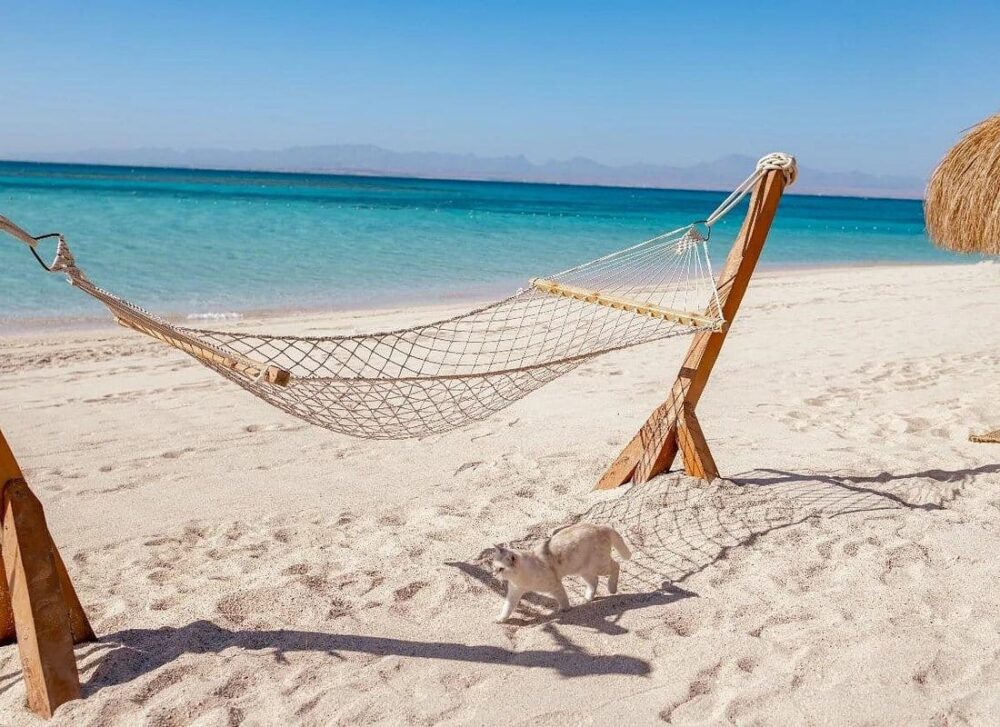 Hula Hula Island Sea Trip VIP Luxury Boat And Lunch - Hurghada - Image 10