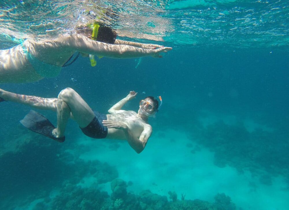 Dolphin House Royal VIP Special Day Snorkeling Sea Trip With Lunch - Hurghada - Image 3