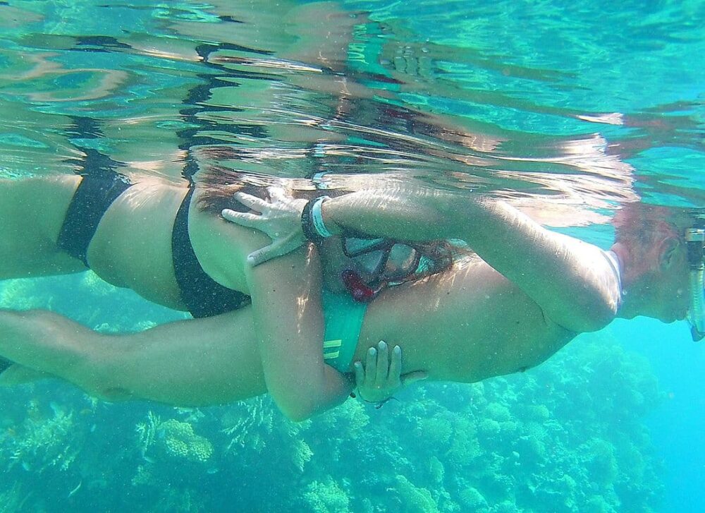 Dolphin House Royal VIP Special Day Snorkeling Sea Trip With Lunch - Hurghada - Image 6