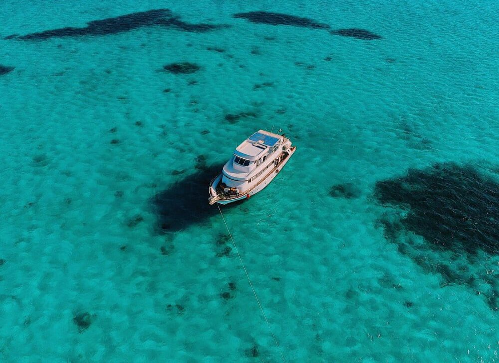 Dolphin House Royal VIP Special Day Snorkeling Sea Trip With Lunch - Hurghada - Image 10