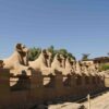 Luxor By Bus - Image 4