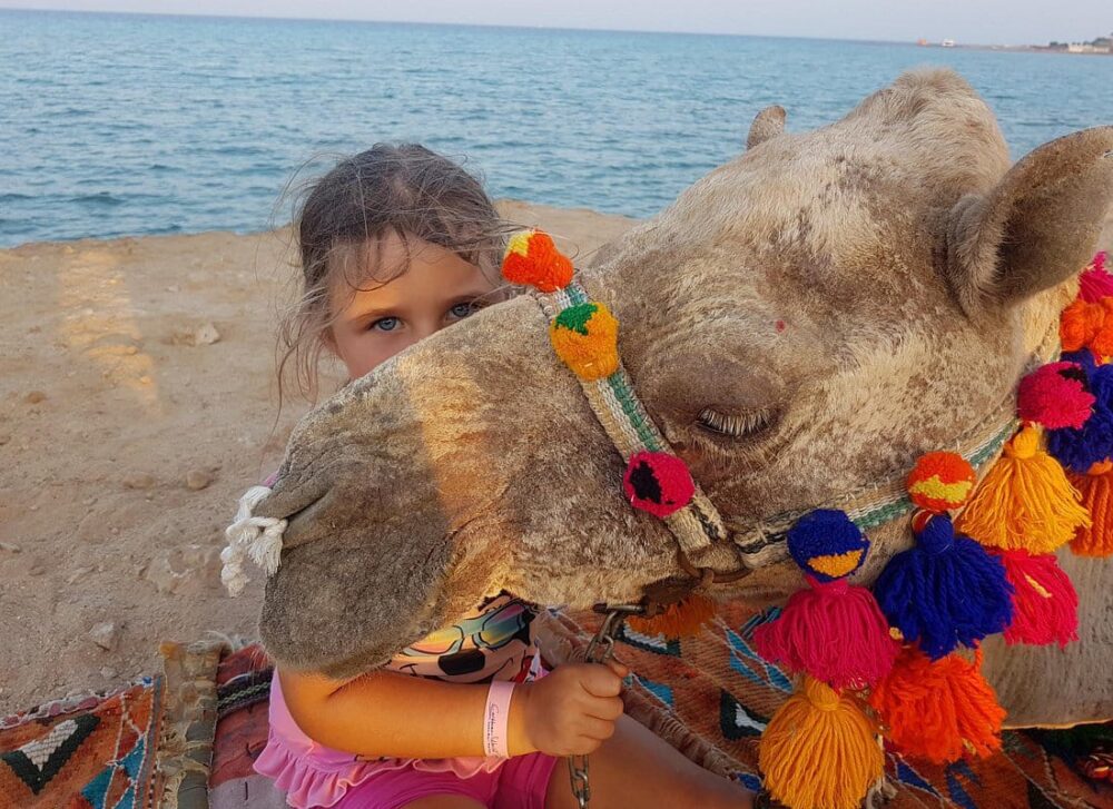 One hour Camel Ride At Amazing Desert With Transfer - Hurghada - Image 7