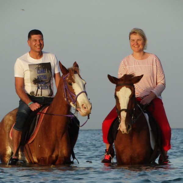 Horse Riding Tour on The Red Sea And Desert & Transfer -Hurghada
