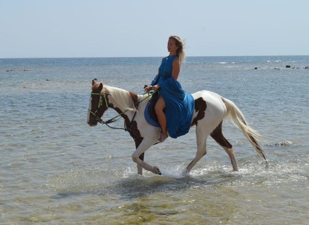 Horse Riding Tour on The Red Sea And Desert & Transfer -Hurghada - Image 7