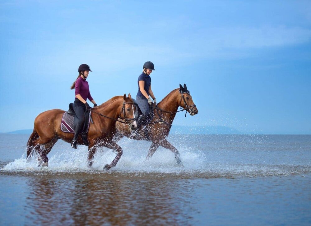 Horse Riding Tour on The Red Sea And Desert & Transfer -Hurghada - Image 8