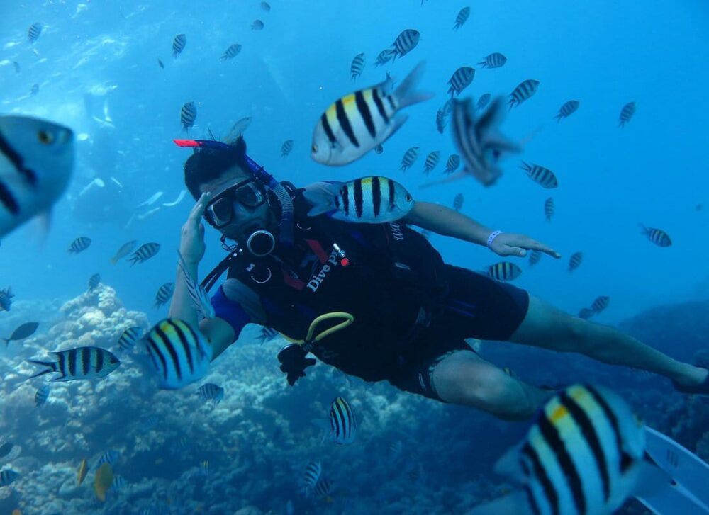 Intro Diving 2 Stops For Beginners with Pick-up and Lunch - Hurghada - Image 4