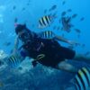 Intro Diving 2 Stops For Beginners with Pick-up and Lunch - Hurghada - Image 4