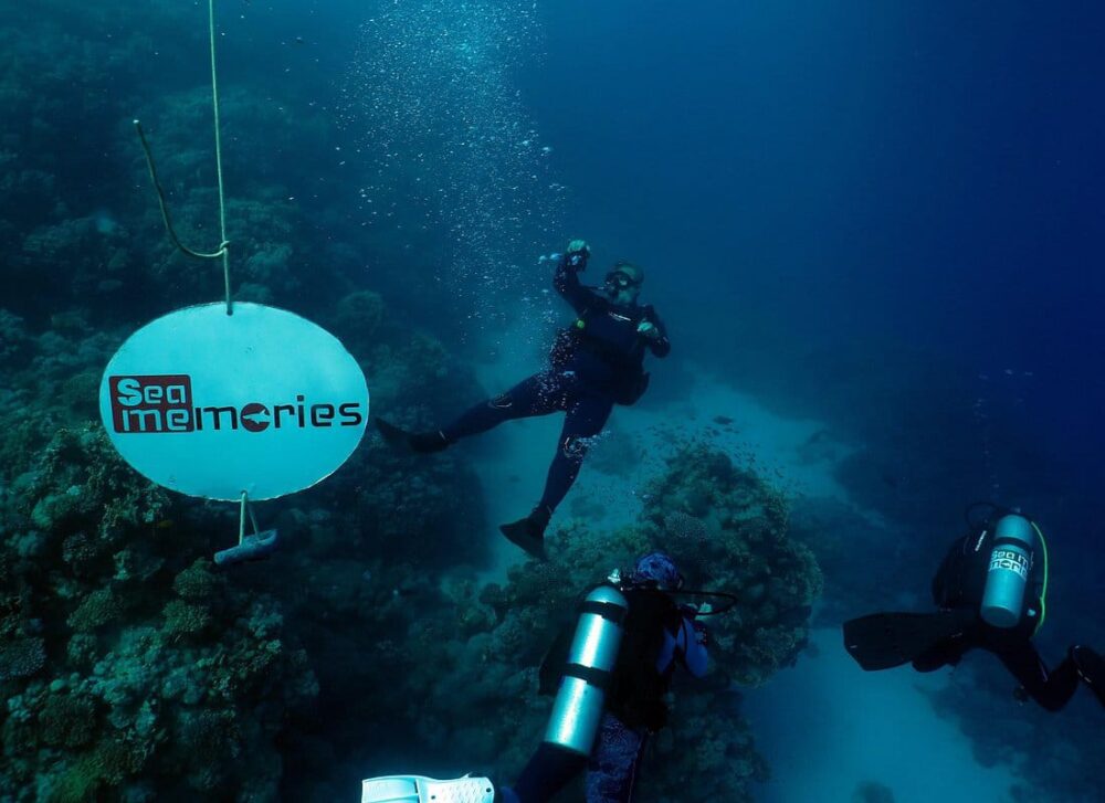 Intro Diving 2 Stops For Beginners with Pick-up and Lunch - Hurghada - Image 7