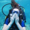 Intro Diving 2 Stops For Beginners with Pick-up and Lunch - Hurghada - Image 8