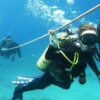 Intro Diving 2 Stops For Beginners with Pick-up and Lunch - Hurghada - Image 9