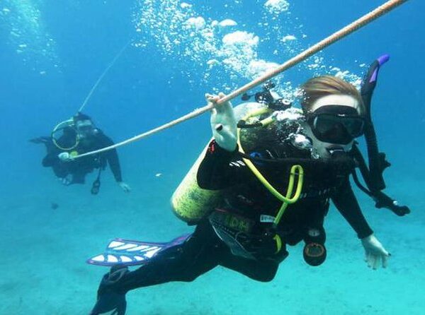 Professional  Diving 2 Stops For Certified divers with Pick-up and Lunch - Hurghada