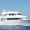 Intro Diving 2 Stops For Beginners with Pick-up and Lunch - Hurghada - Image 10