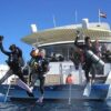 Intro Diving 2 Stops For Beginners with Pick-up and Lunch - Hurghada - Image 11
