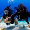 Intro Diving 2 Stops For Beginners with Pick-up and Lunch - Hurghada - Image 12