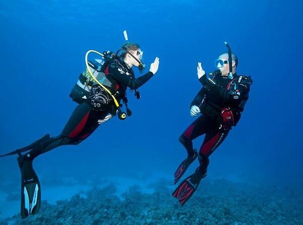 Diving&Orange Bay VIP Luxury Boat