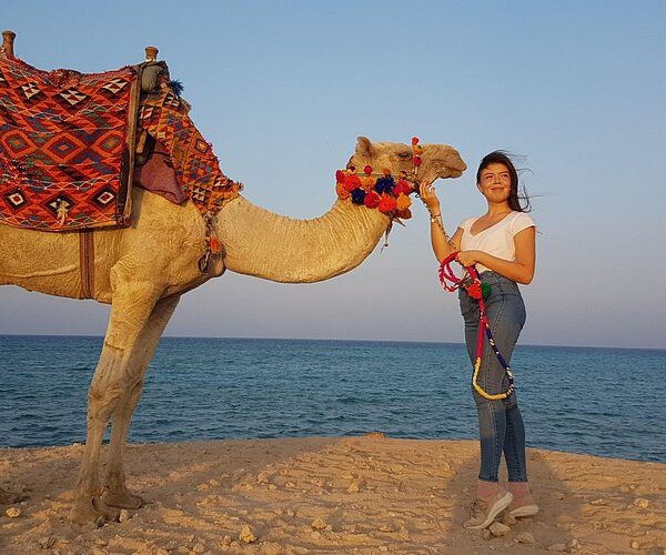 One hour Camel Ride At Amazing Desert With Transfer - Hurghada