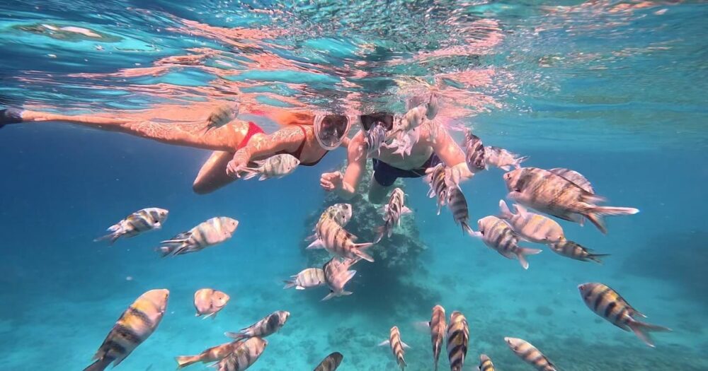 New Eden Island VIP , Snorkeling , lunch , transportation - Image 9