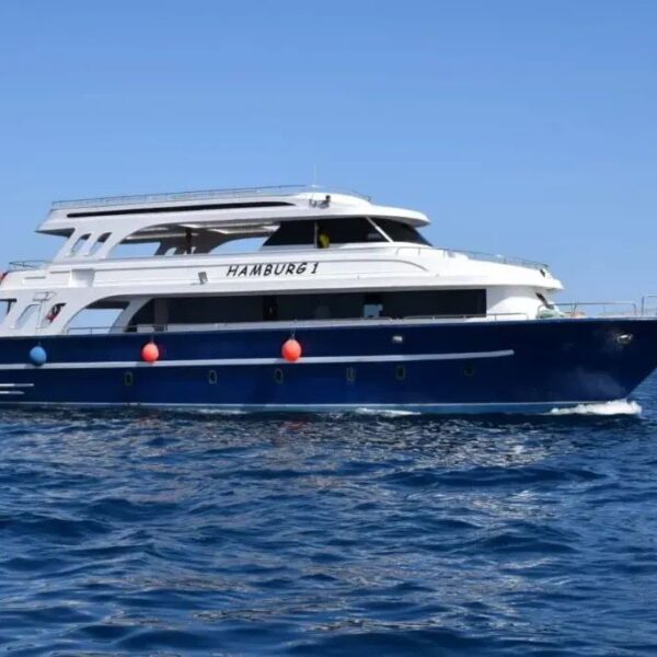 🚤 Private Boat Trip – Full-Day Red Sea Experience