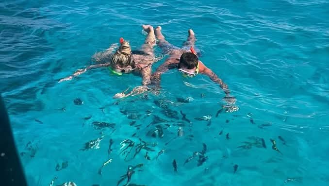 New Eden Island VIP , Snorkeling , lunch , transportation - Image 19